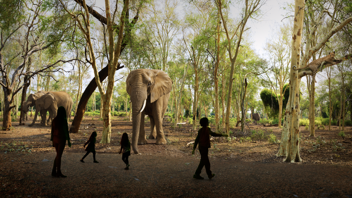Illuminarium - WILD Safari Elephants